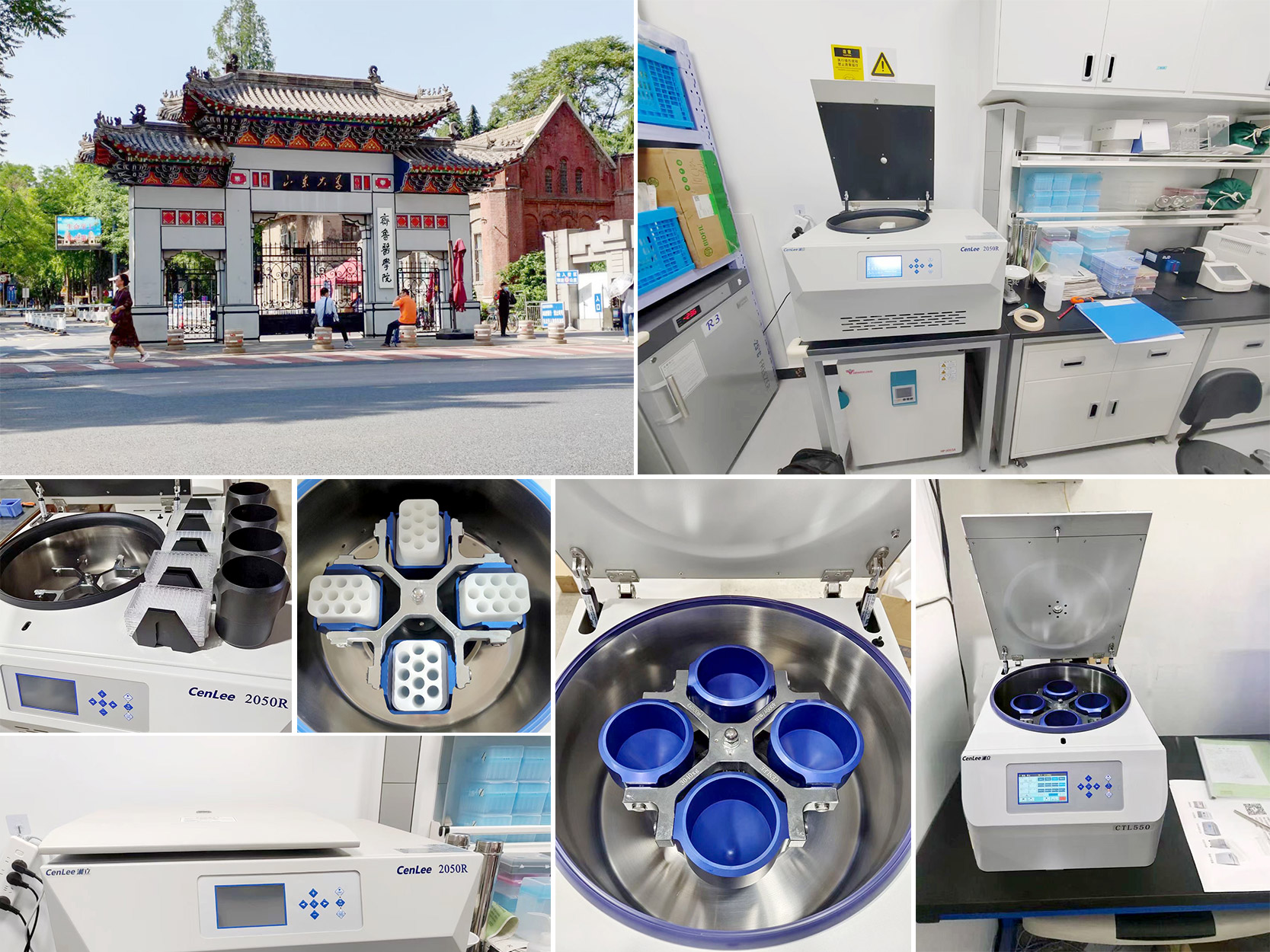 山东大学齐鲁医学院.jpg