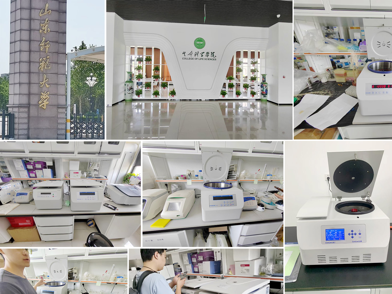 山东师范大学长清湖校区生命科学学院.jpg