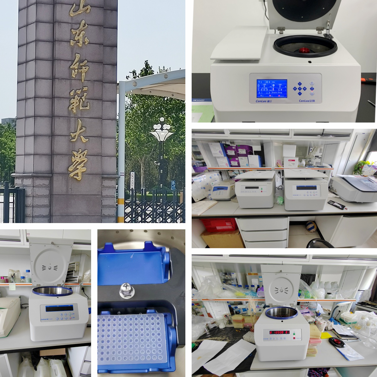 山东师范大学.jpg